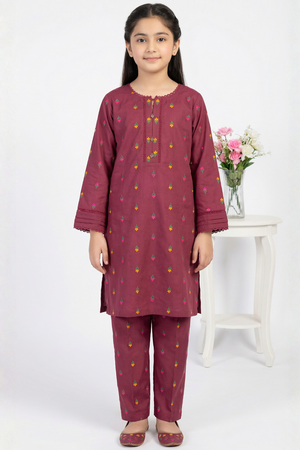 2 PIECE - EMBROIDERED KHADDAR SUIT