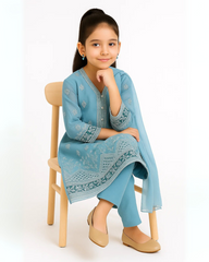 3 PIECE - EMBROIDERED ORGANZA SUIT