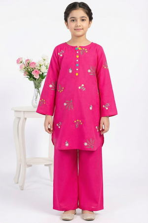 2 PIECE - EMBROIDERED KHADDAR SUIT