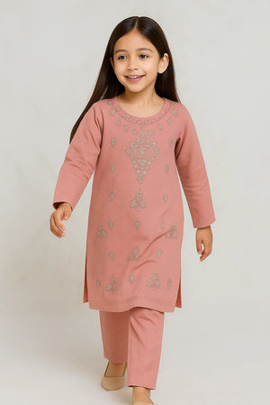 2 PIECE - EMBROIDERED KHADDAR SUIT
